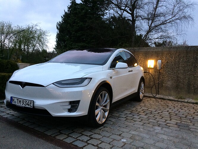 TeslaGrünwald4.jpeg