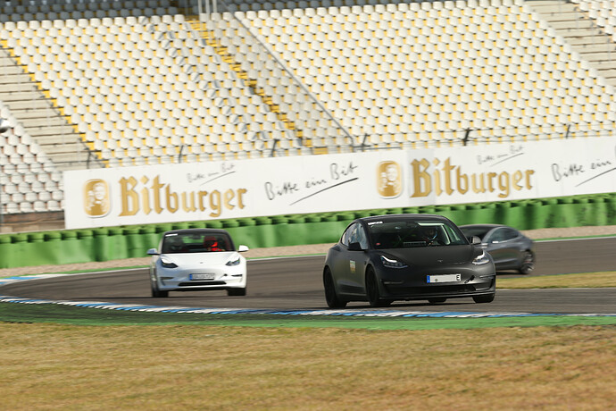Trackday_TESLA_lautlos_performance_weiß_grau_sr