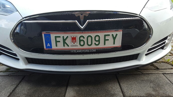 Grünes Kennzeichen Tesla.jpg