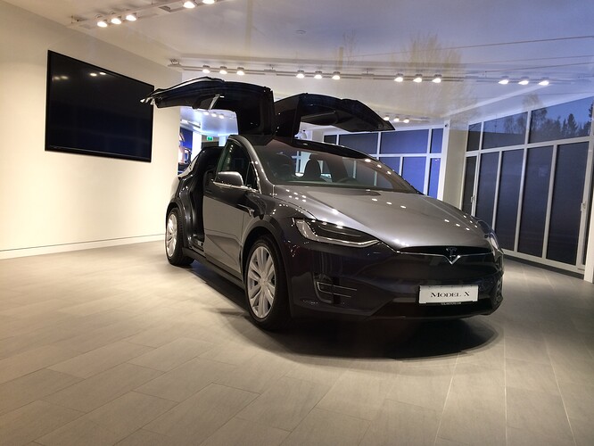 TeslaGrünwald2.jpeg