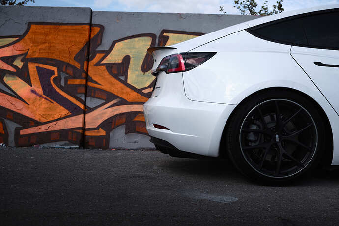 DSCF5619