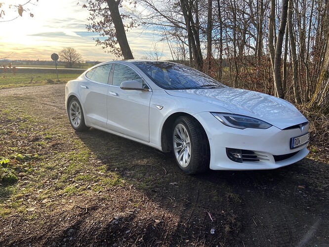 Tesla_Model_S90D_Brego.jpeg