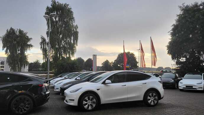 IMG-20220909-WA0010