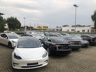 IMG_8395