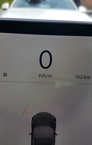 parken2.jpg