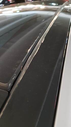 Tesla Dach2.jpg