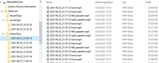 TeslaDashCamDirectorySentry