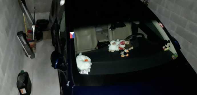 IMG-20181224-WA0006.jpg