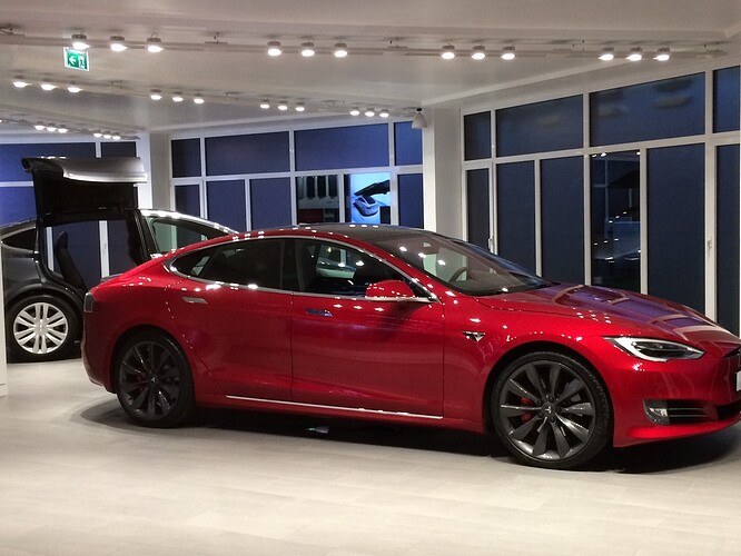 TeslaGrünwald1.jpeg