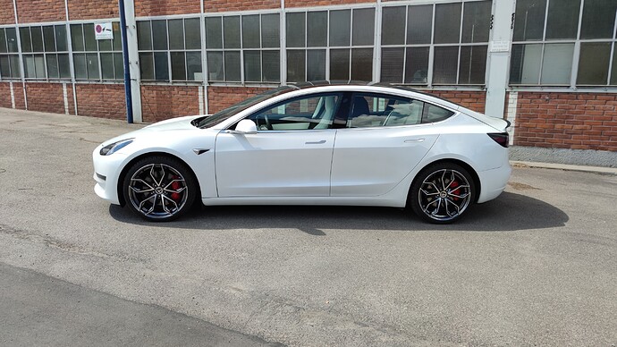 TESLA_model3_performance_tomason_sonderflege