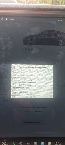 1753168268593232340985183256596