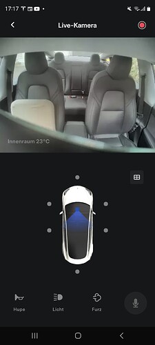 Screenshot_20241010_171755_Tesla