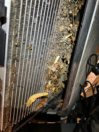 IMG_9842