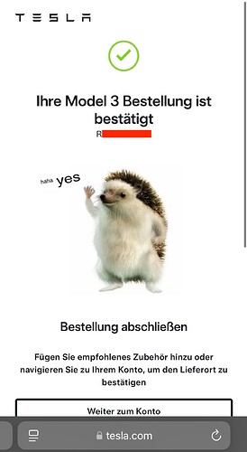 TeslaModel3Bestellung