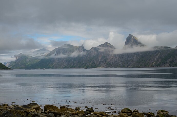 Medfjord