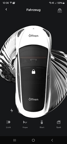 Screenshot_20231207_120623_Tesla