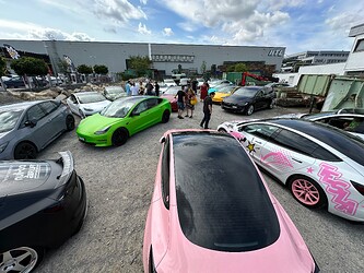 IMG_7463