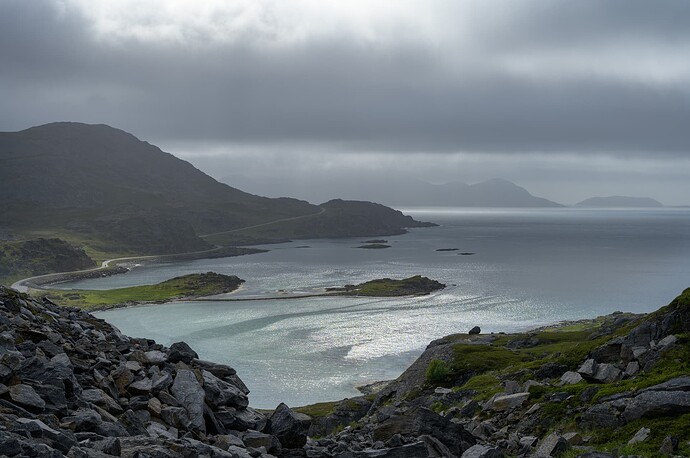 Selvika