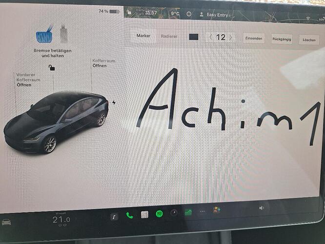 Bild Tesla Tab