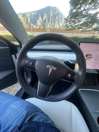 tesla lenkradbezug-5
