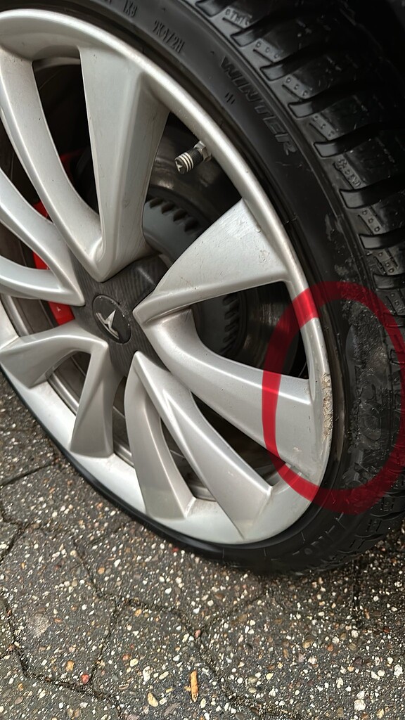 Tff Model 3null