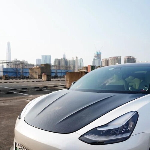 RevoZport-R-Zentric-Model-3-Carbon-Hood-17-600x600.jpg
