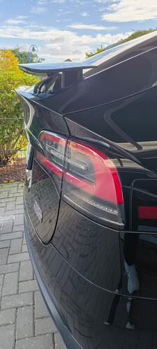 IMG_20251021_111556519