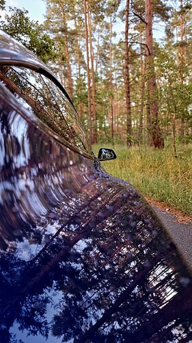 IMG_20230628_071734