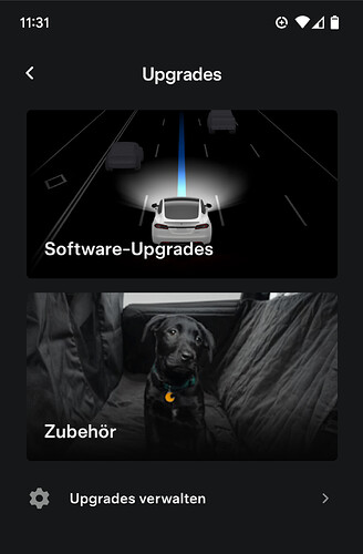 Screenshot_20241117-113155
