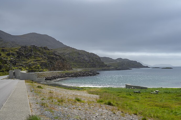 Selvika