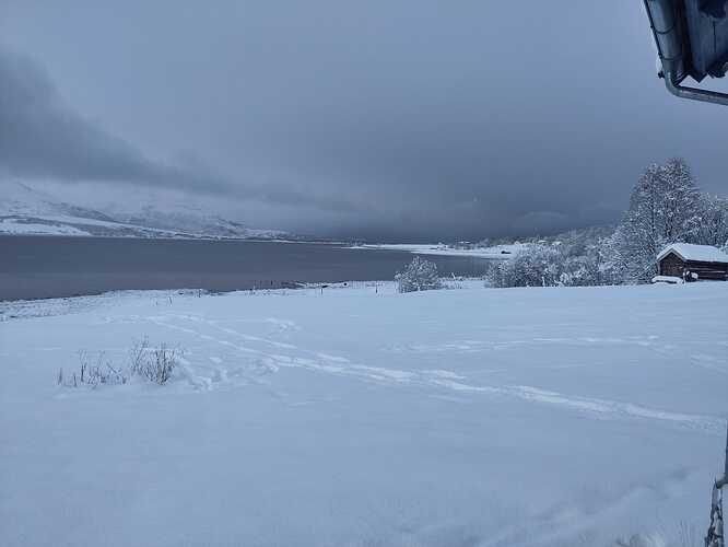 IMG-20231118-WA0001