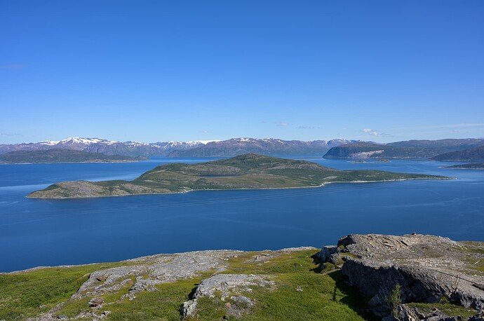 Skorpa