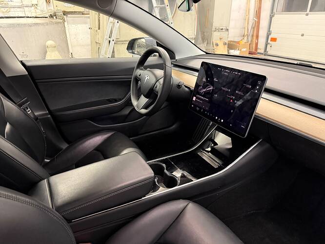 18500 Tesla Model 3 Performance AWD B08