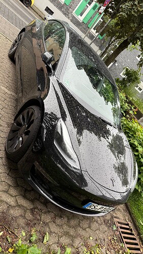 IMG_3131