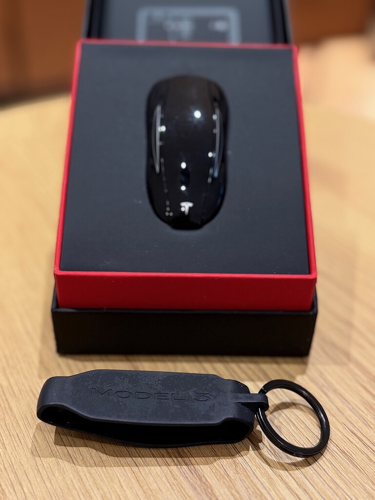 [Biete] Model 3 Key Fob mit Anhänger - Marktplatz - TFF Forum - Tesla ...