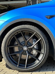 IMG_5981