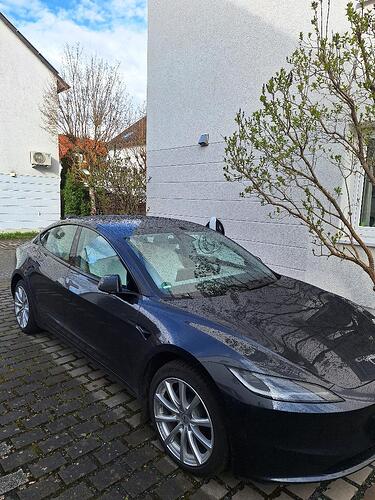 Bild Tesla 3