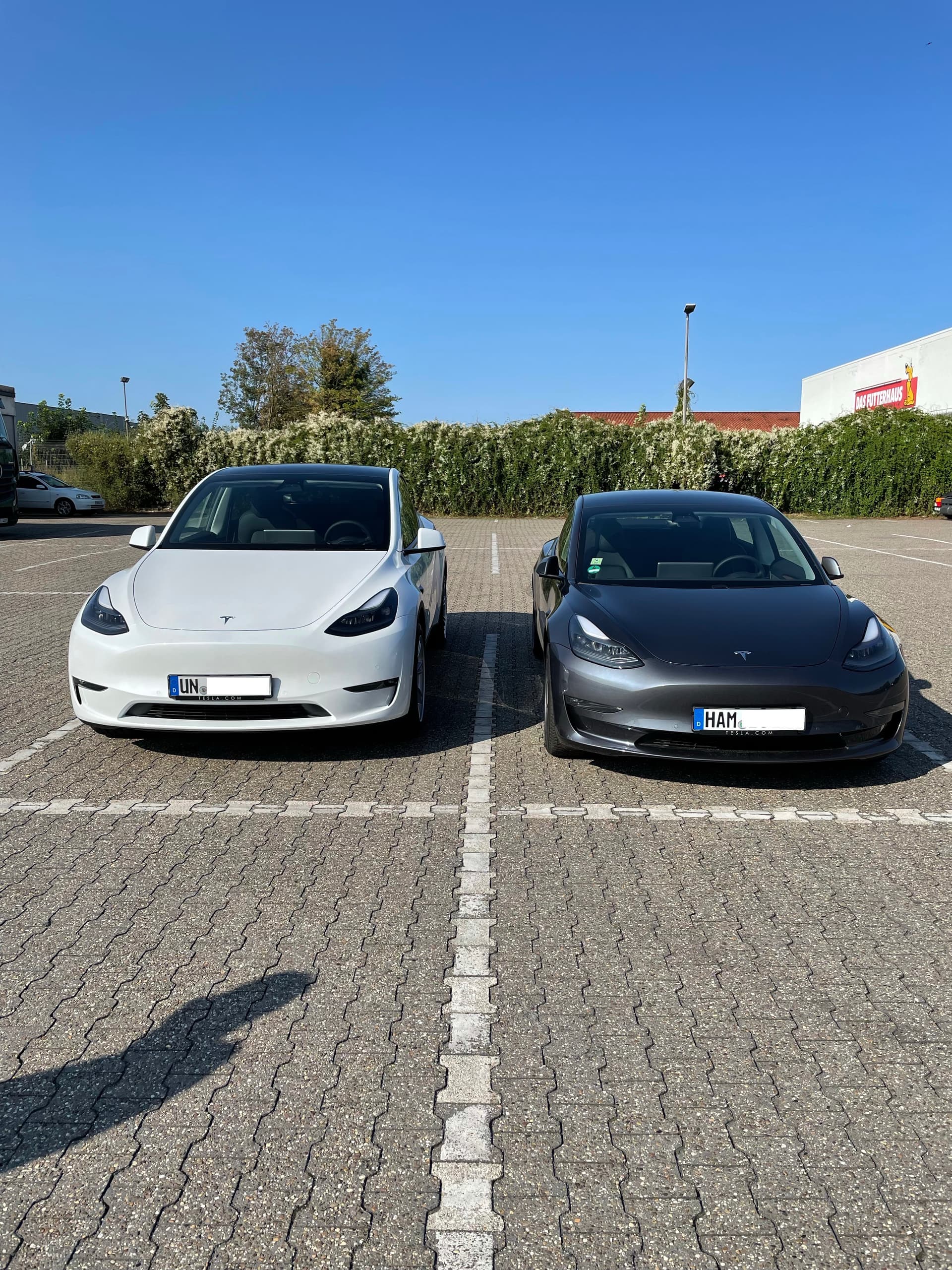 Tesla Forum Model 3null