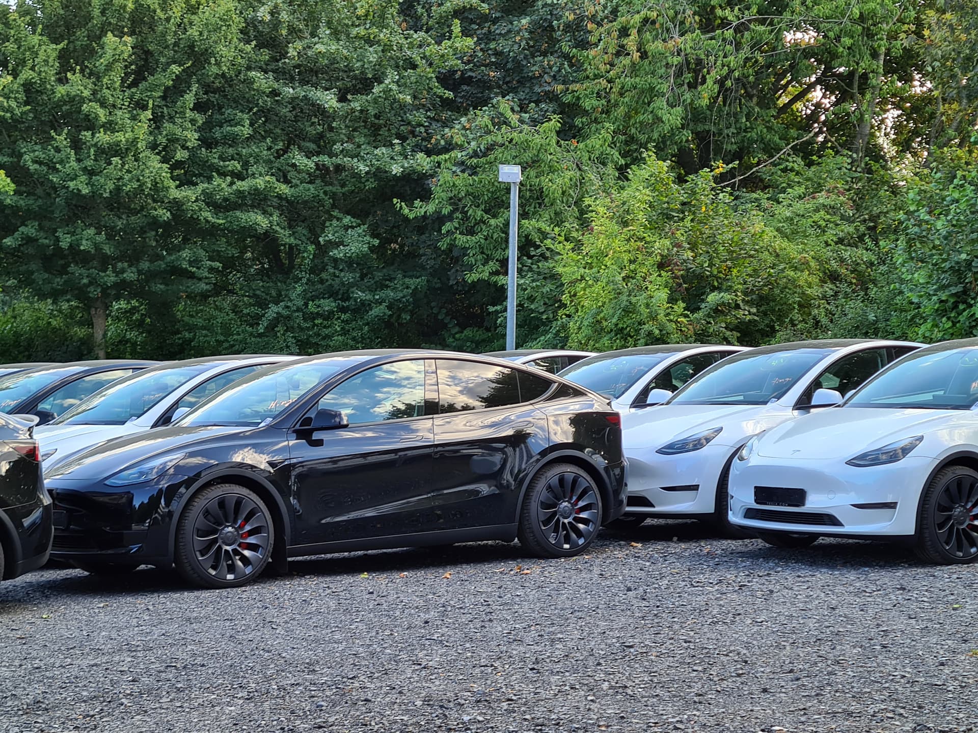 Best HD Pictures about  Tesla Auslieferung 2022  with No AI Images