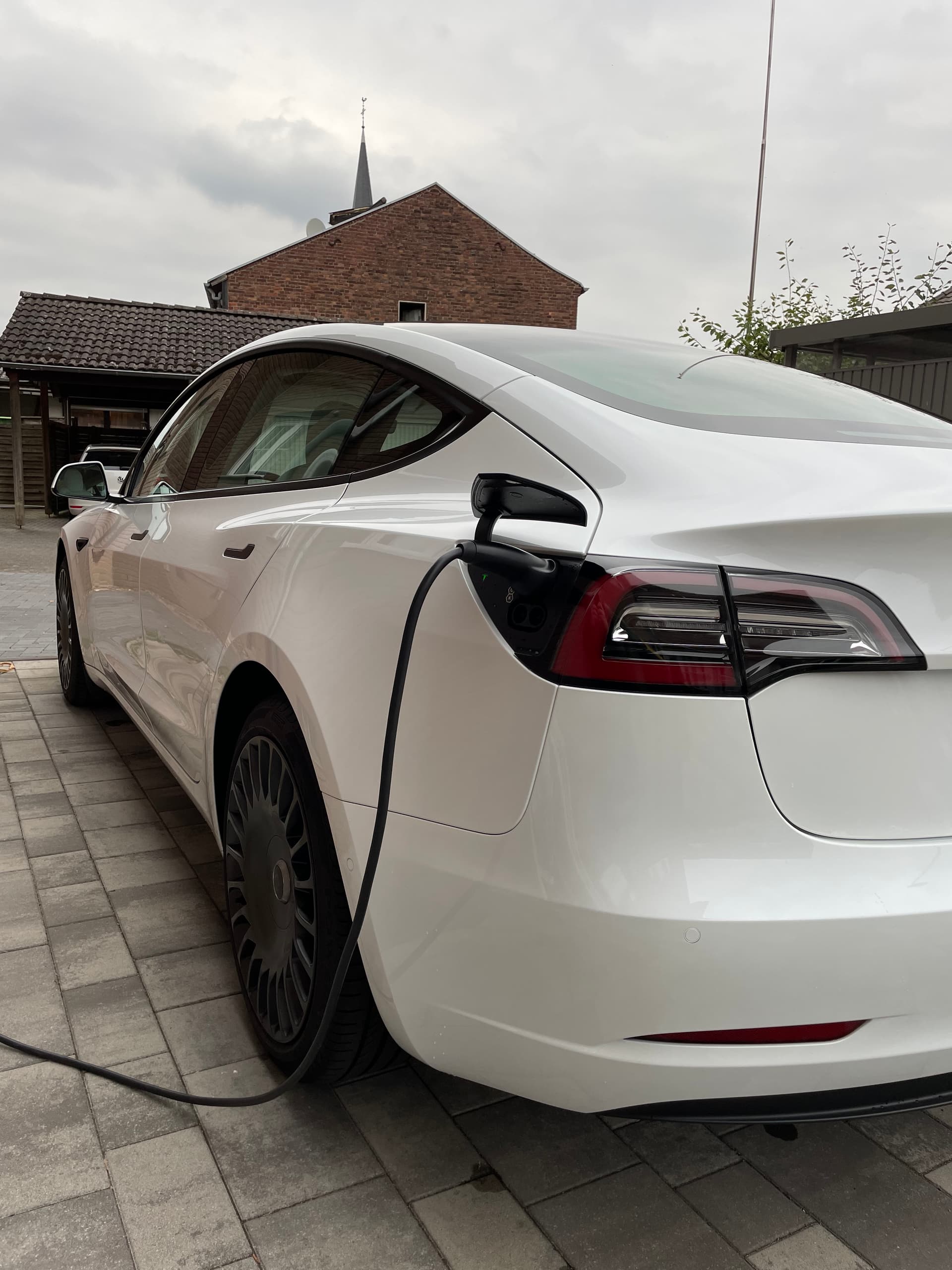 Tff Forum Model 3null