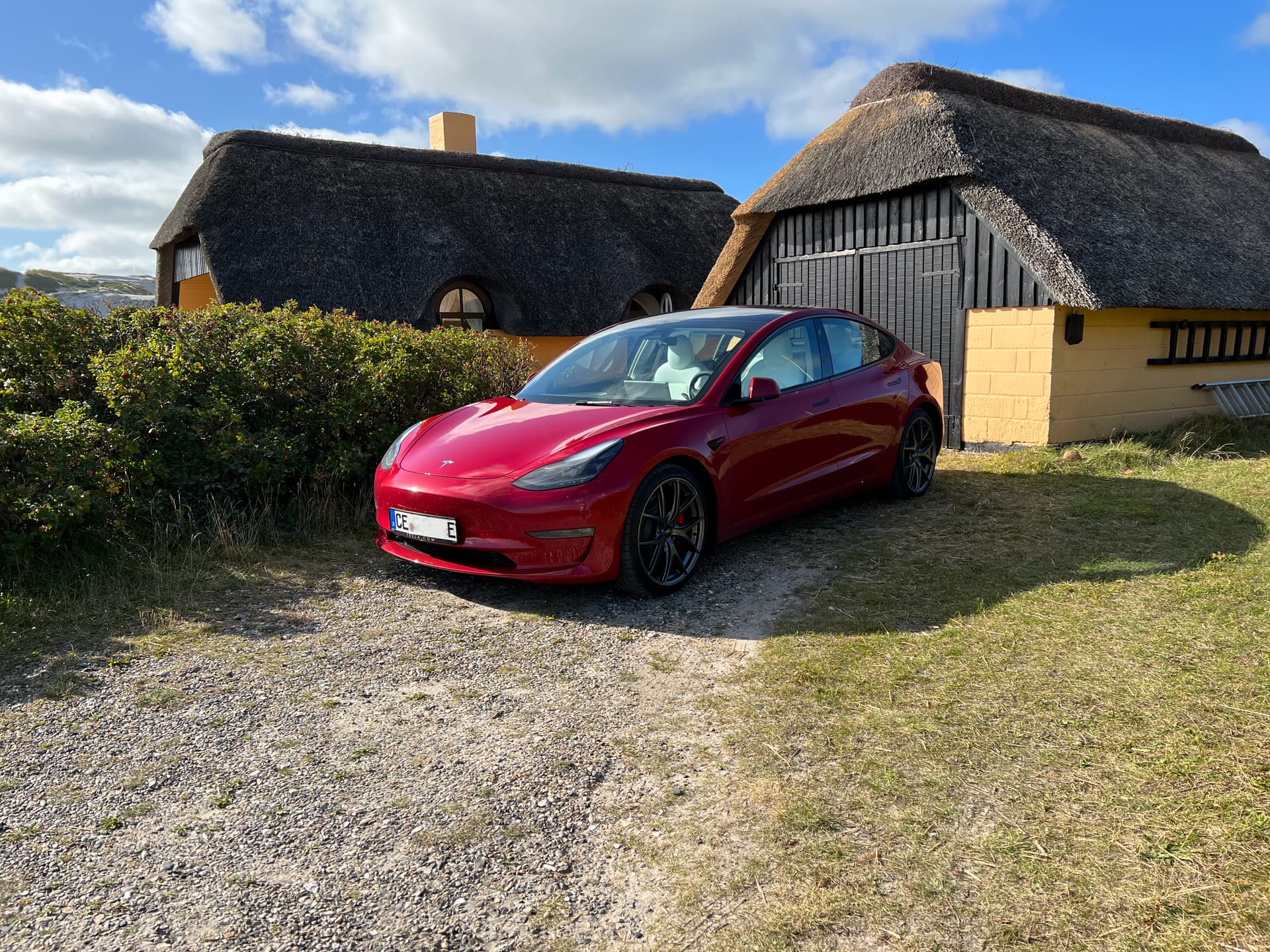 Tff Forum Model 3null