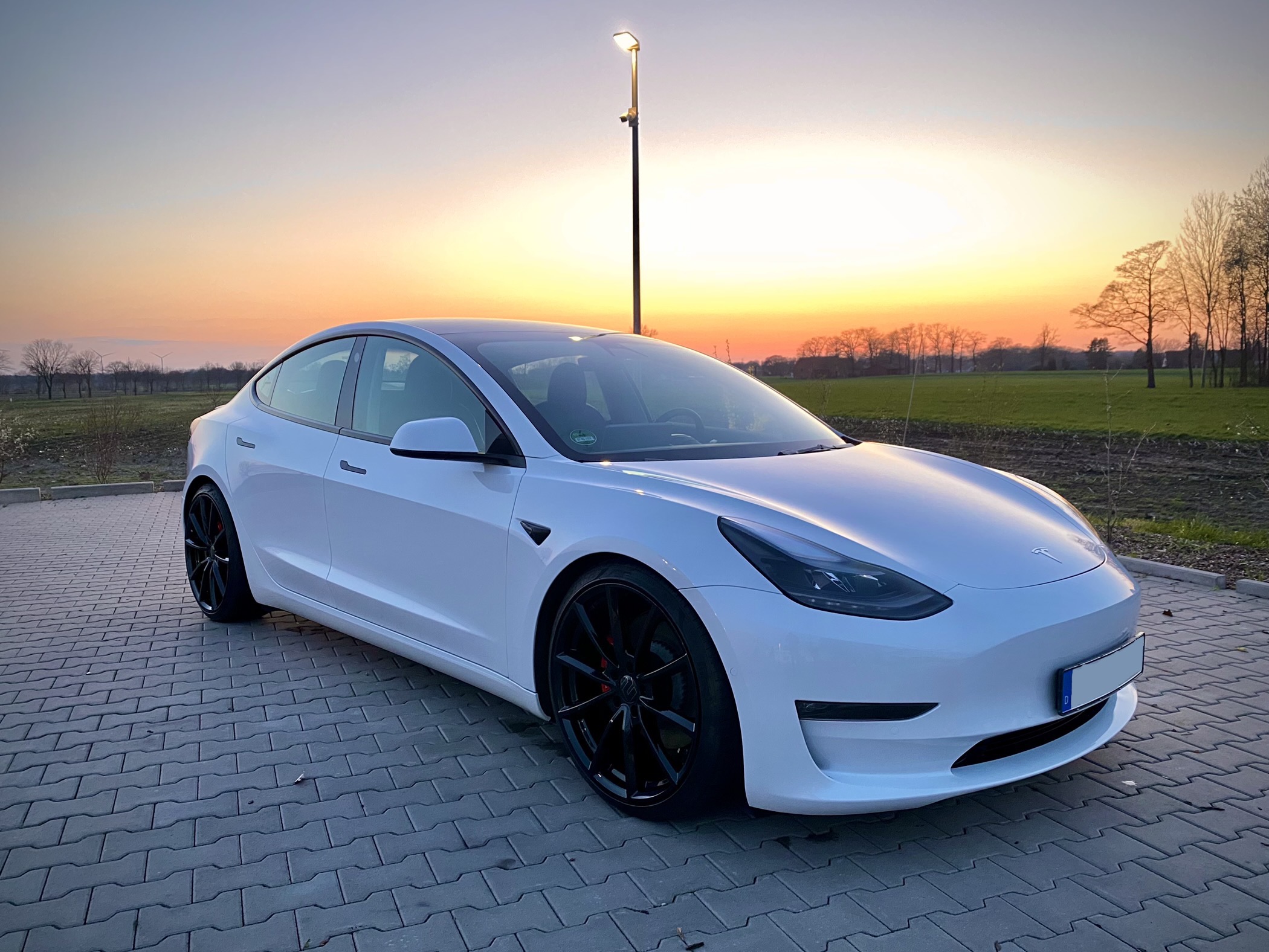 Model 3 Forum