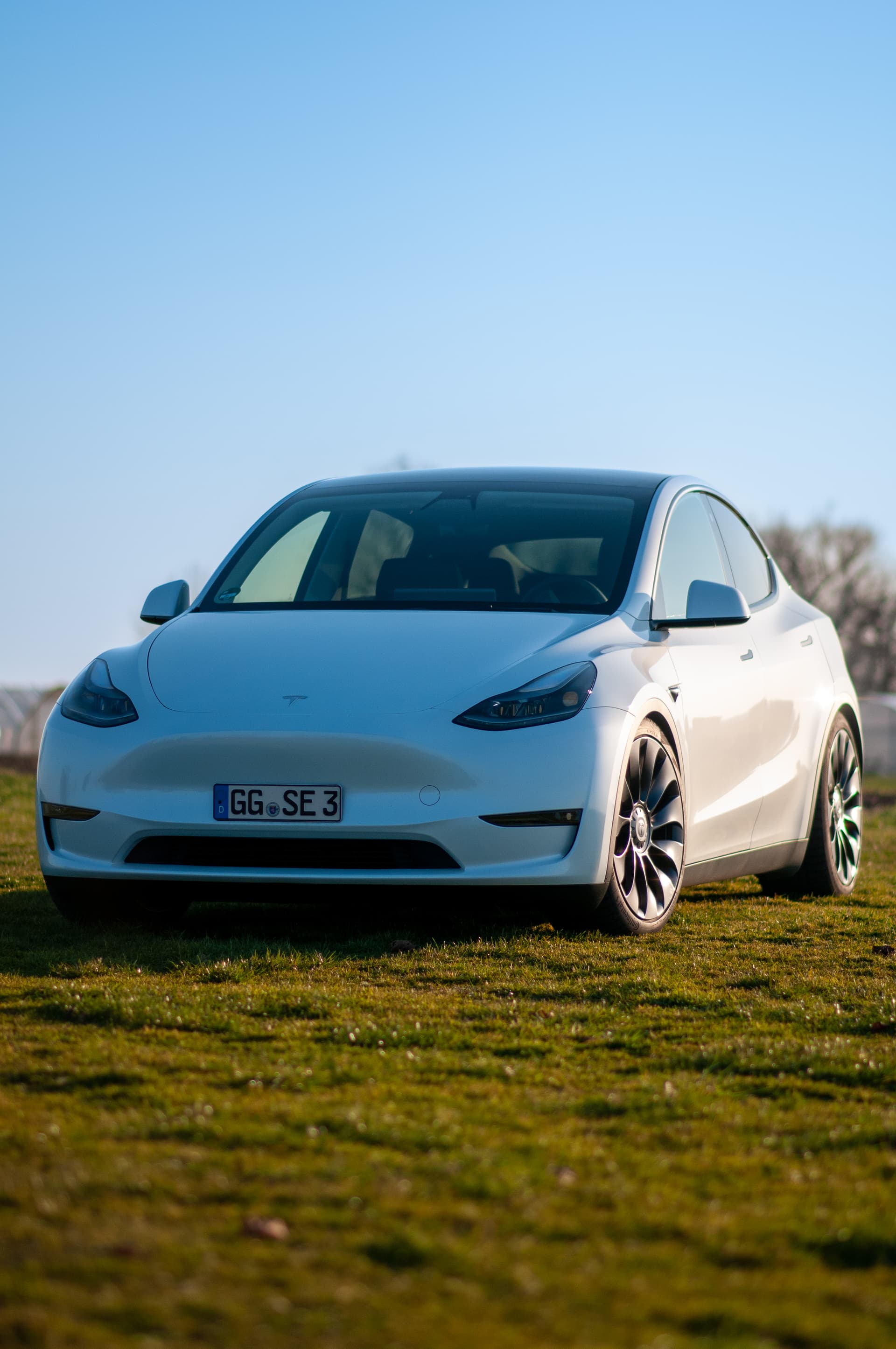 Model Y Forum
