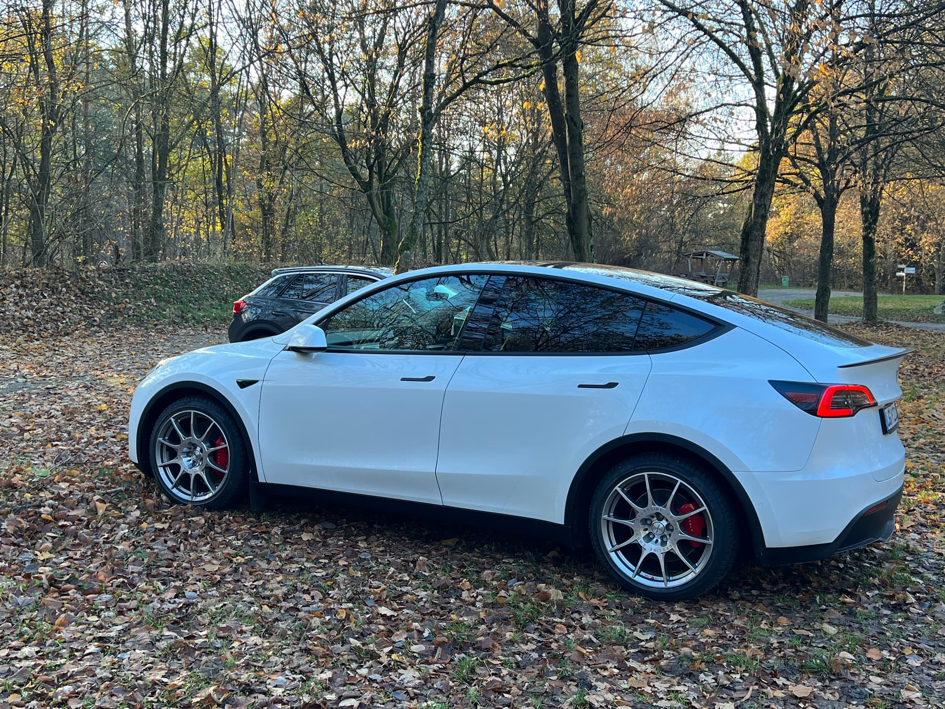 Tff Model Y