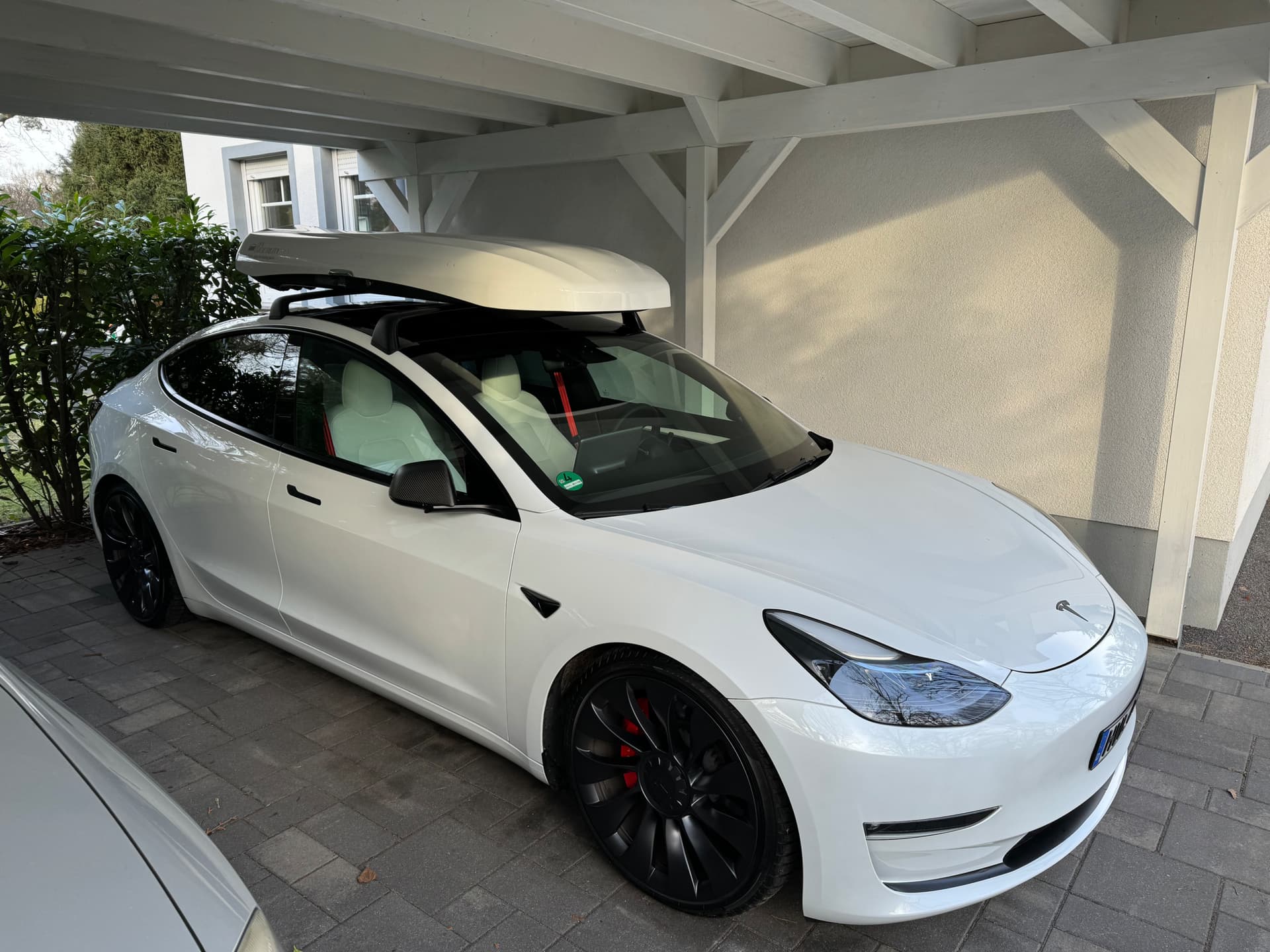 Tff Forum Model 3null