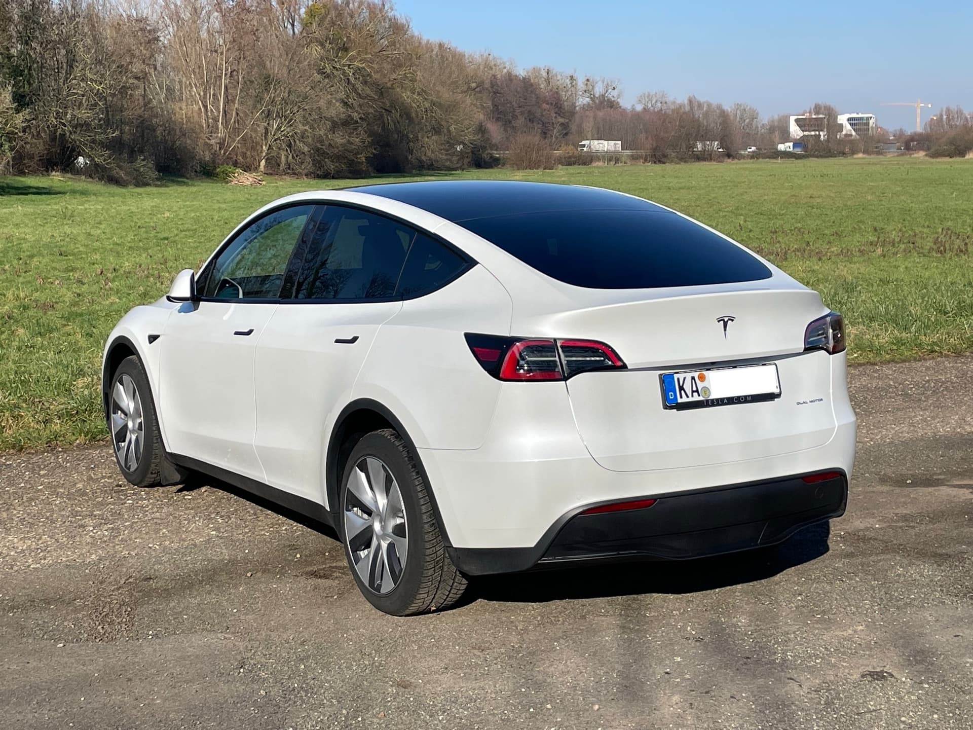 Model Y Forum