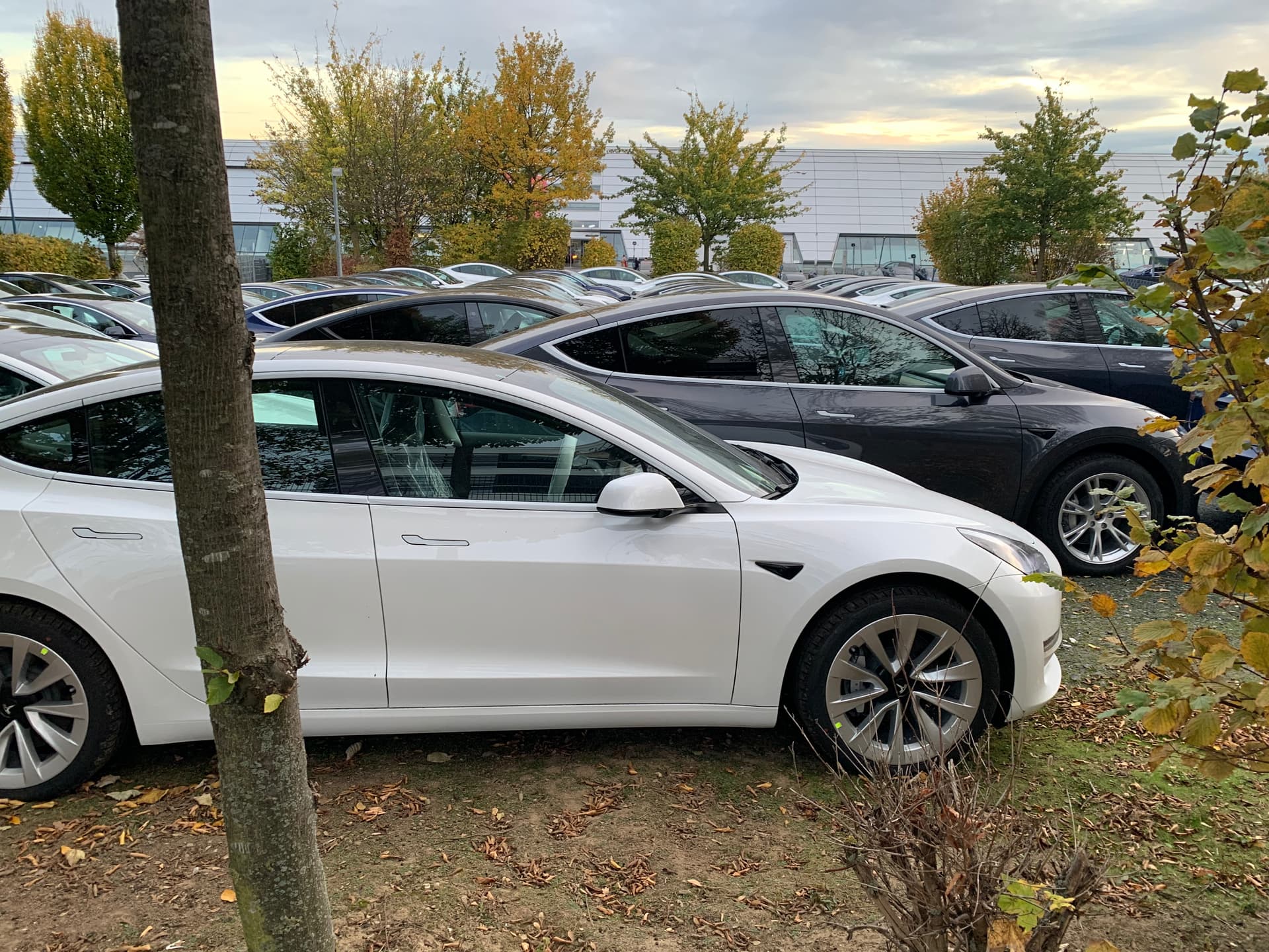 Tesla Model 3 Auslieferung Q4 2022